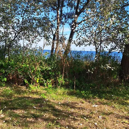 Unter Der Kuehlung *